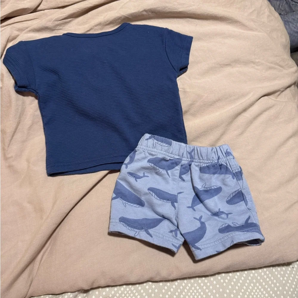 Carters set